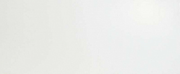 Solid White Matt 50x120 купить в интернет магазине Artisan.ru