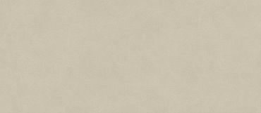 Boost Natural Pro Cinder 120x278 - 6mm купить в интернет магазине Artisan.ru