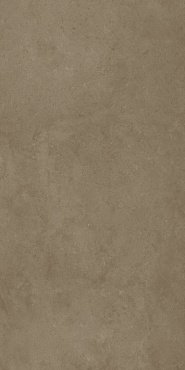 ФОССИЛ ДЕЗЕРТ 60X120 РЕТ купить в интернет магазине Artisan.ru