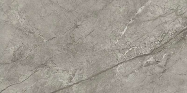Marvel Meraviglia Silver Majestic 60x120 купить в интернет магазине Artisan.ru