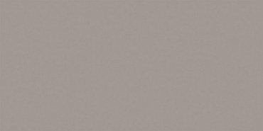 RW03 Rainbow натуральная 60x120 серый купить в интернет магазине Artisan.ru