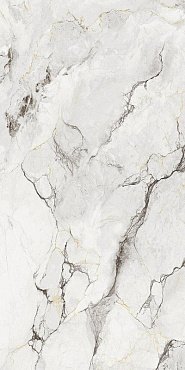 CAMOUFLAGE 60X120 (5,6mm) купить в интернет магазине Artisan.ru