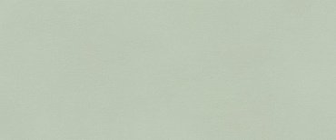 TRUE COLOR 50X120 MATCHA MATT купить в интернет магазине Artisan.ru