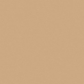 RW15 Rainbow натуральная 60x60 бежевый купить в интернет магазине Artisan.ru