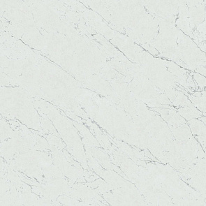 Marvel Carrara Pure 120x120 Lappato купить в интернет магазине Artisan.ru