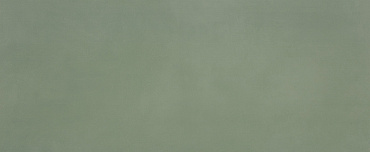 MATERIA BRILLANTE 50X120 BOSCO BRILLANTE купить в интернет магазине Artisan.ru