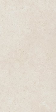 ФОССИЛ ПЬЮР 60X120 РЕТ купить в интернет магазине Artisan.ru