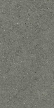 ФОРУМ СТОУН АЙРОН 60X120 купить в интернет магазине Artisan.ru