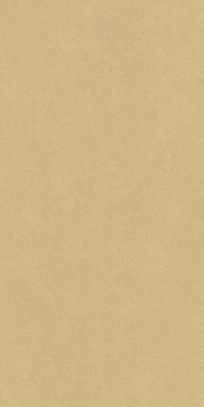 Керамическая плитка 600010002373 Italon Surface 80x160