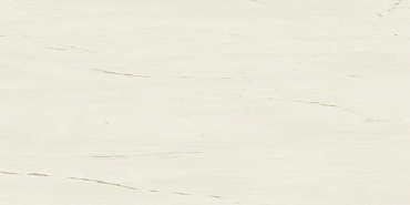 Marvel Bianco Dolomite 120x240 Lappato купить в интернет магазине Artisan.ru