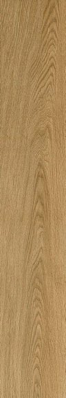 Керамогранит 610010003503 Coliseumgres Ducale 20x120