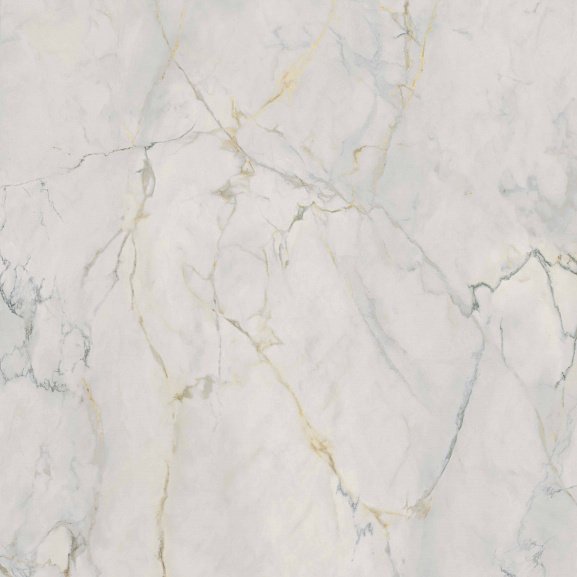 Керамогранит 0020834 VERSACE Ceramics Harmony 120x120