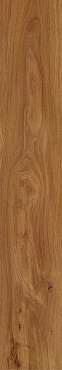 Forest Amber 19,4х120 непол. купить в интернет магазине Artisan.ru