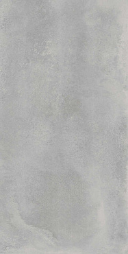 Coliseumgres Astro Silver 60x120 Ret купить в интернет магазине Artisan.ru