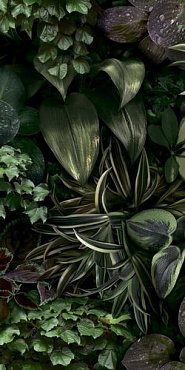 Керамогранит Jane B 50x100 купить в интернет магазине Artisan.ru