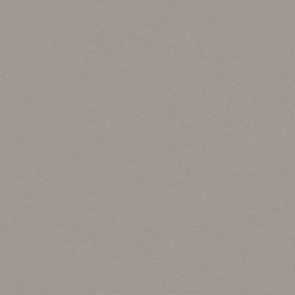 RW03 Rainbow натуральная 60x60 серый купить в интернет магазине Artisan.ru