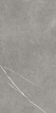 FDM Elegant G. Rett 60x120/ФДМ Элегант Г. Рет 60x120 купить в интернет магазине Artisan.ru