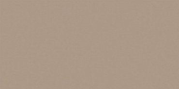 RW041 Rainbow натуральная 60x120 коричневый купить в интернет магазине Artisan.ru
