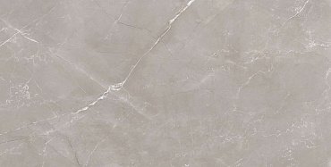Laparet Vitrum Grigio 120x60 полированный купить в интернет магазине Artisan.ru