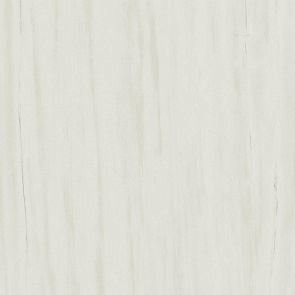 Marvel Bianco Dolomite 60x60 купить в интернет магазине Artisan.ru
