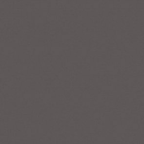 RW033 Rainbow натуральная 60x60 серый купить в интернет магазине Artisan.ru