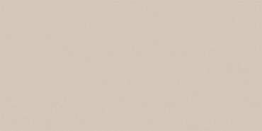 RW01 Rainbow натуральная 60x120 бежевый купить в интернет магазине Artisan.ru