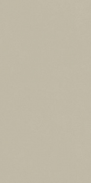ФОРУМ СЛИМ ДЕЗЕРТ 60X120 купить в интернет магазине Artisan.ru