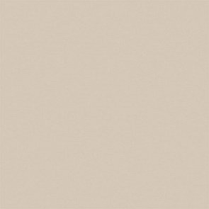 RW01 Rainbow натуральная 60x60 бежевый купить в интернет магазине Artisan.ru