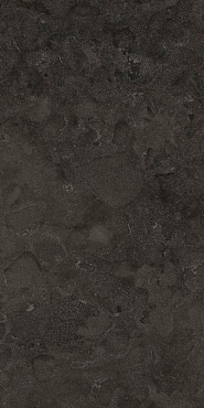 Вояджер Блэк 60x120 рет купить в интернет магазине Artisan.ru
