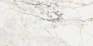 AE PAO6 12 LP купить в интернет магазине Artisan.ru