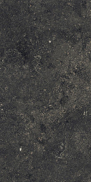 Рум Стоун Блэк 30x60 пат купить в интернет магазине Artisan.ru