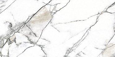 PREMIERE WHITE/60x120/EP купить в интернет магазине Artisan.ru
