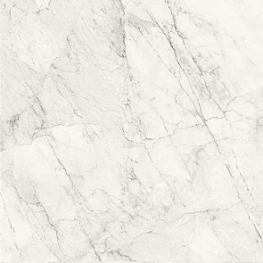 AE CAL6 120 LP купить в интернет магазине Artisan.ru