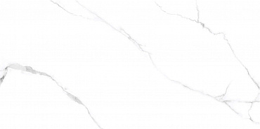 Laparet Atlantic White I Белый 60x120 Сатинированный купить в интернет магазине Artisan.ru