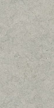 ФОРУМ СТОУН СИЛЬВЕР 60X120 купить в интернет магазине Artisan.ru