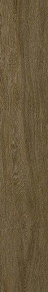 Керамогранит 610010003504 Coliseumgres Ducale 20x120