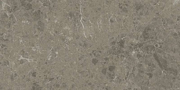 Marvel Meraviglia Grigio Elegante 30x60 Lapp. купить в интернет магазине Artisan.ru