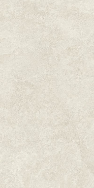 Boost Icor Bone 60x120 купить в интернет магазине Artisan.ru