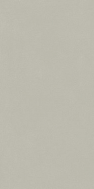 ФОРУМ СЛИМ СИЛЬВЕР 60X120 купить в интернет магазине Artisan.ru
