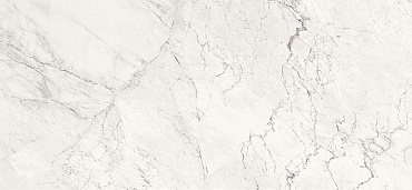 AE CAL6 260 LP купить в интернет магазине Artisan.ru