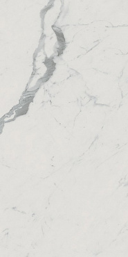 ROMA GOLD 60X120 CARRARA SUPERIORE BRILL купить в интернет магазине Artisan.ru