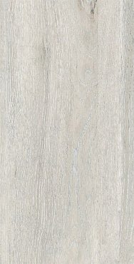 DW01 Dream Wood натуральная 30.6x60.9 бежевый купить в интернет магазине Artisan.ru