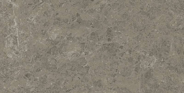 Marvel Meraviglia Grigio Elegante 75x150 Lapp. купить в интернет магазине Artisan.ru