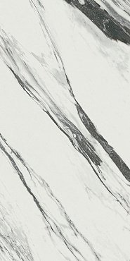 ШАР.ДЕЛ.СТАТ.ФАНТ.60X120 CER купить в интернет магазине Artisan.ru