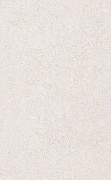 Керамическая плитка Сорбонна беж 25x40 6355 купить в интернет магазине Artisan.ru