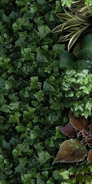 Керамогранит Jane A 50x100 купить в интернет магазине Artisan.ru