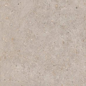 SG653820R Риккарди бежевый матовый обрезной 60x60x0,9 керам.гранит купить в интернет магазине Artisan.ru