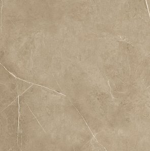 Керамогранит Sutile Taupe Pulido 60x60 162-008-16 купить в интернет магазине Artisan.ru