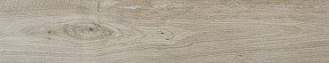 Керамогранит Rigel Grey Matt Rect 22.7x119.5 110-010-1 купить в интернет магазине Artisan.ru