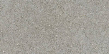 BOOST STONE Grey 60x120 GRIP купить в интернет магазине Artisan.ru